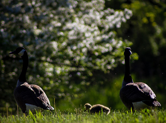 pIMG_8662