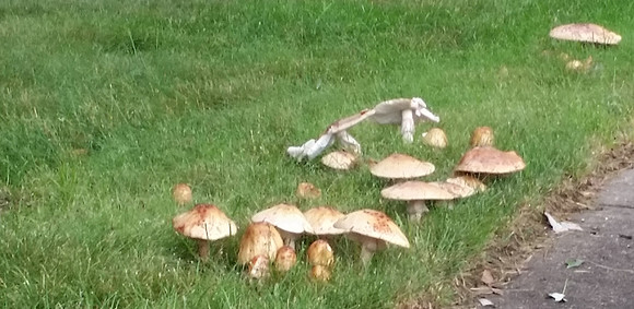 20150630_100825