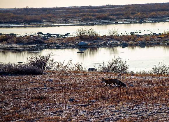 IMG_7210