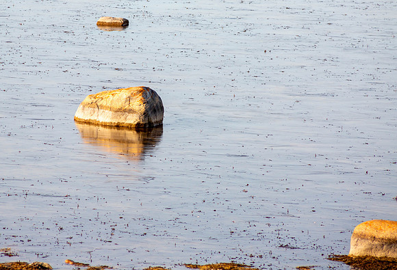 IMG_7387