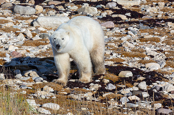 IMG_7634